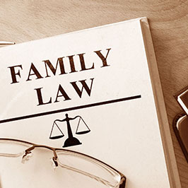 Divorce and Family Law Group of Michigan